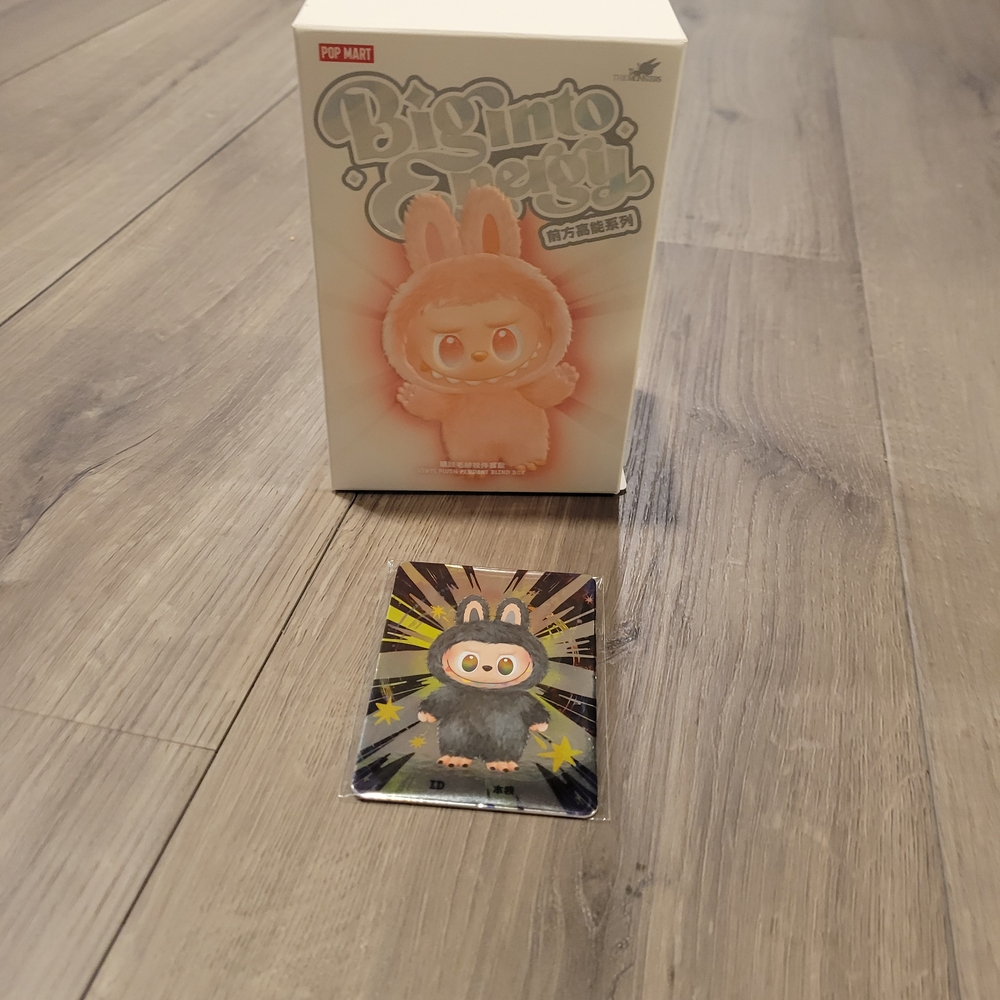 Pop Mart Labubu Secret ID Sealed Figure with Card